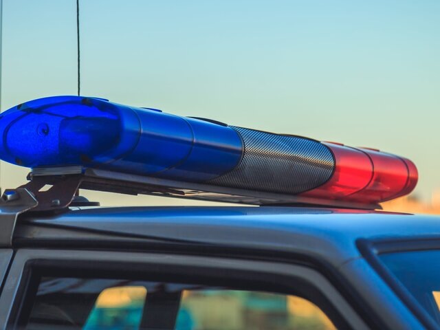    Фото: 123RF.соm/fedorovekb