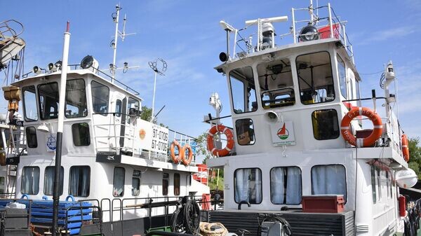    © Sputnik / Виктор Толочко