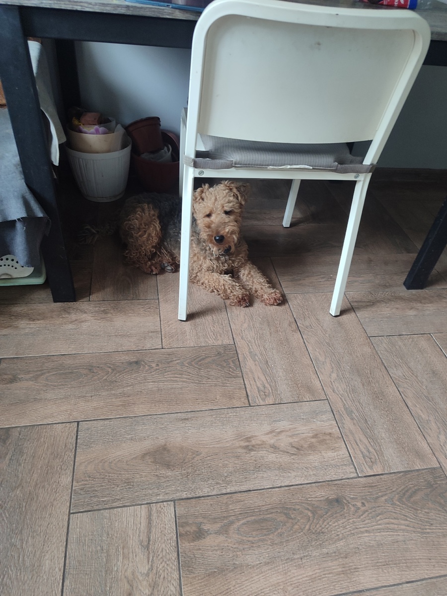 Васенка нет) 