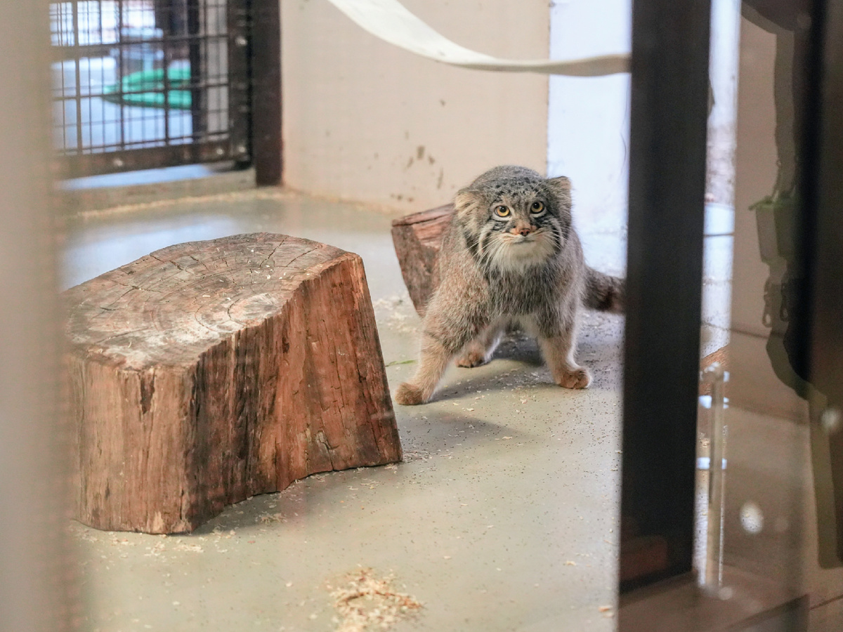 KQuhen, CC BY-SA 4.0