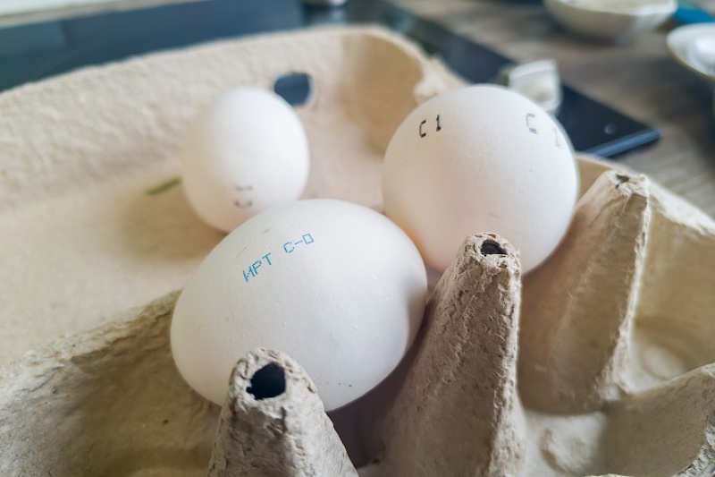    Фото из архива VN.ru