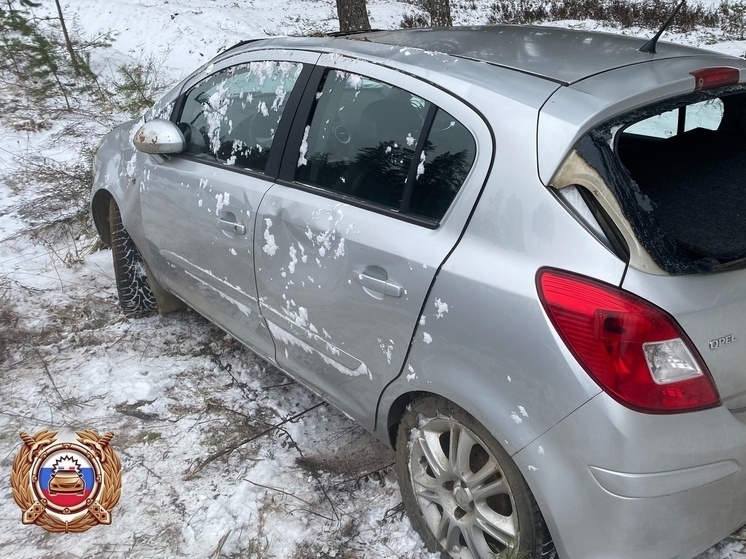     Фото: Госавтоинспекция Бологовского округа