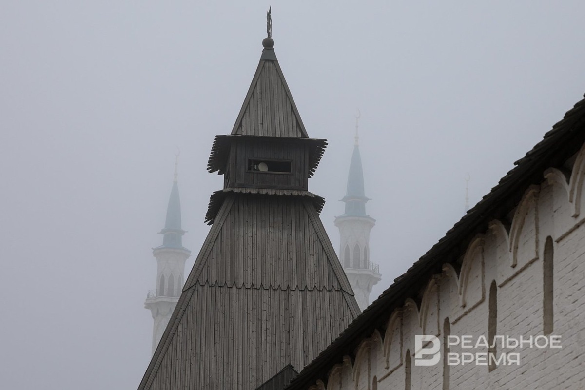   Артем Дергунов / realnoevremya.ru