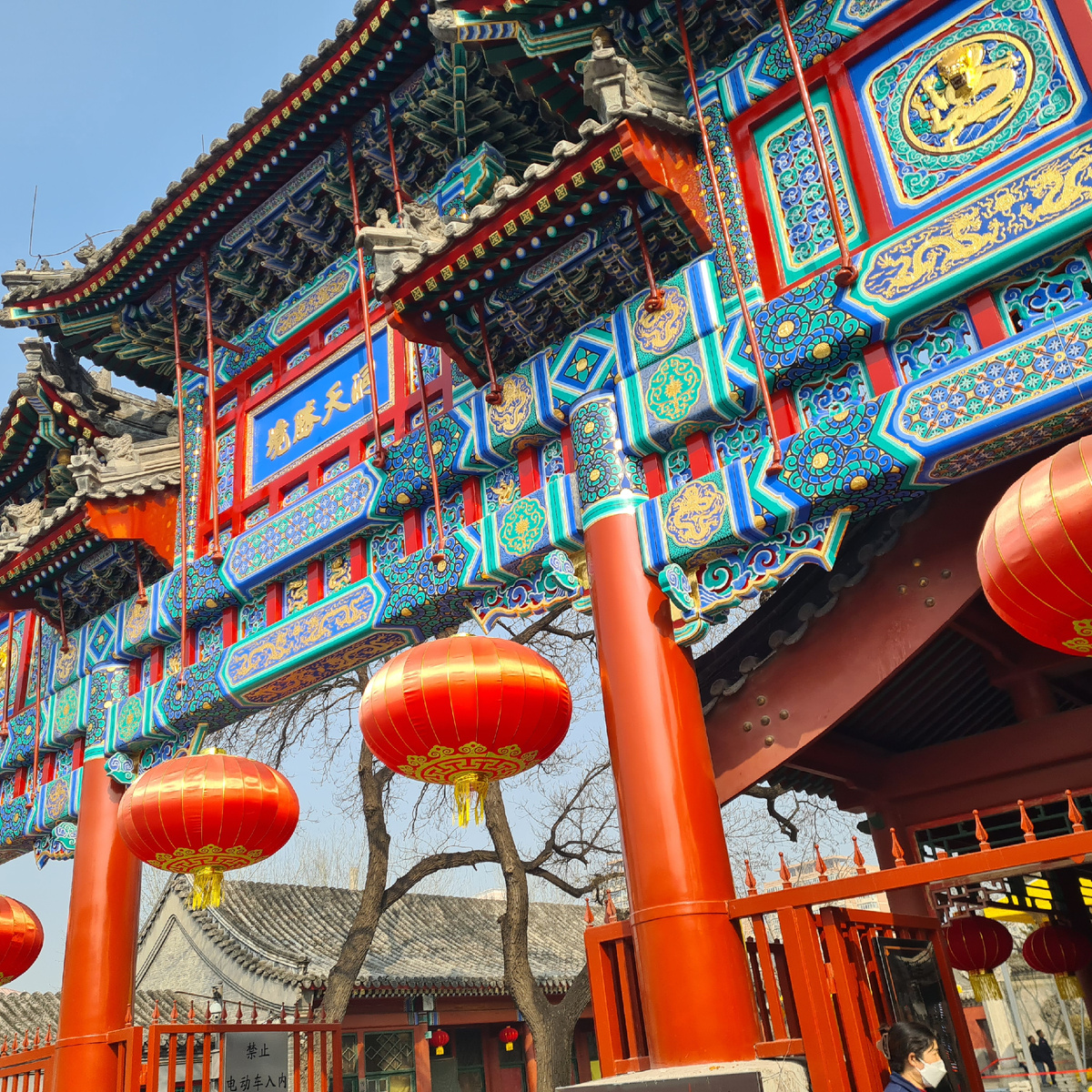 фото добавлена из личной коллекции