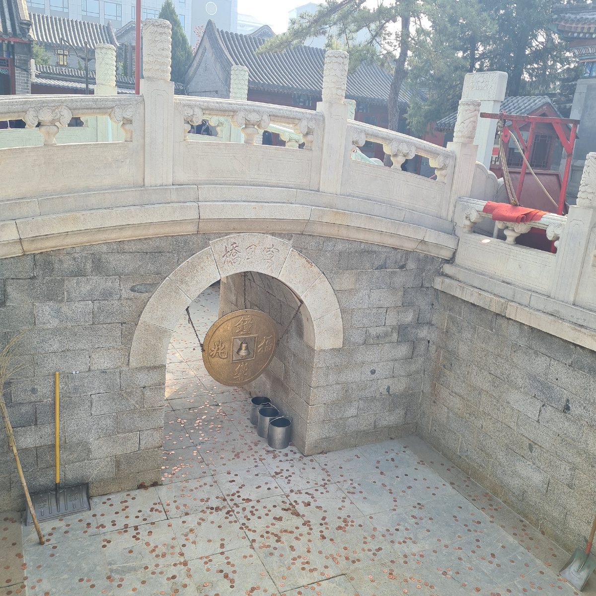 фото добавлена из личной коллекции