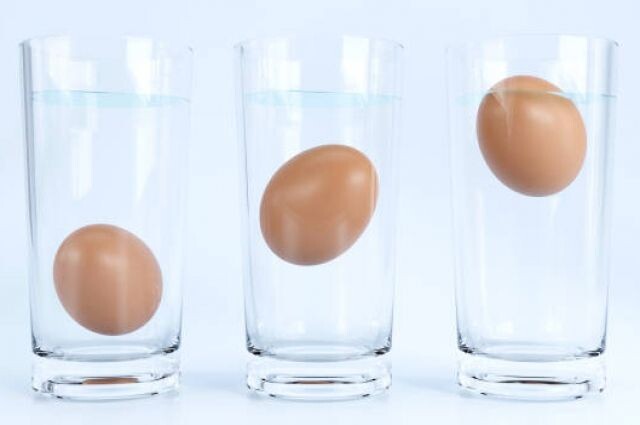 Опытный участок. Работают ли лайфхаки проверки свежести яиц из интернета