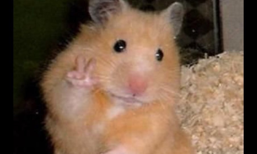 А потом еще это и исправлять