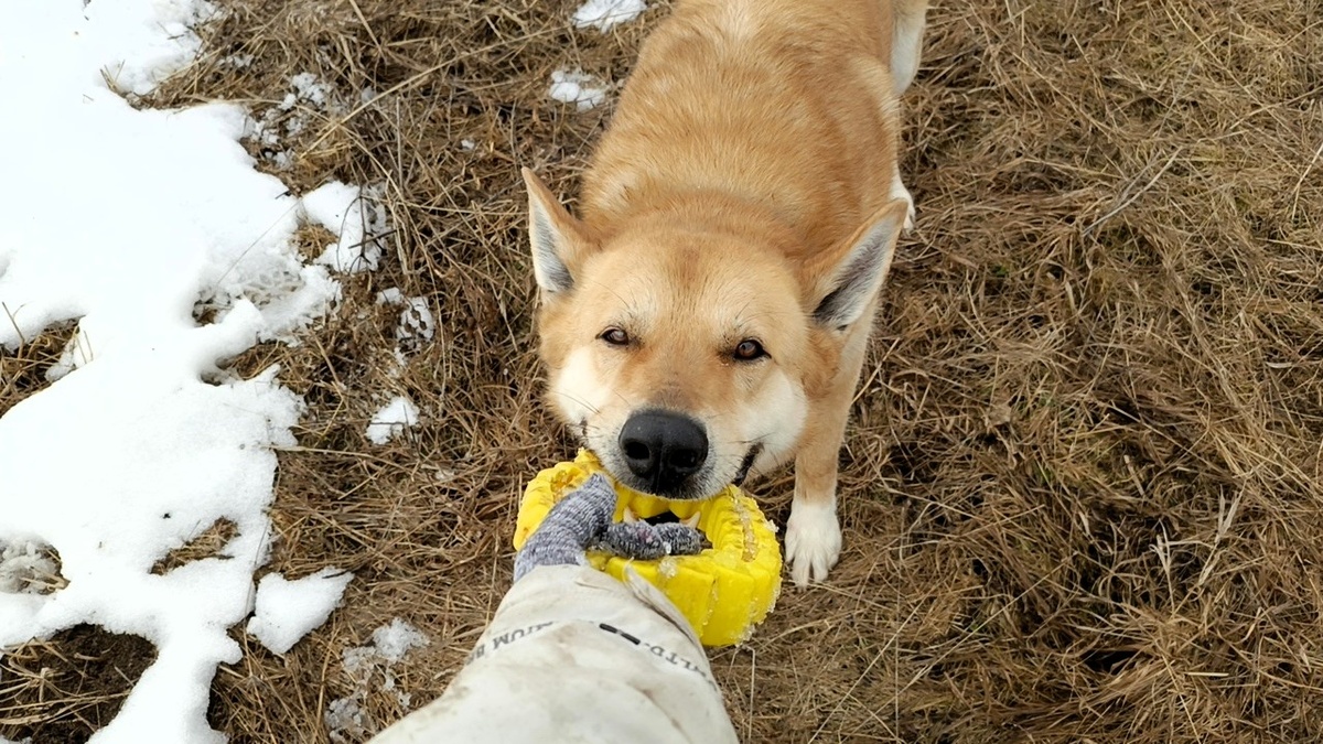 Да ладно, подумаешь, клещи, - смеется Грин, - я их одной левой!