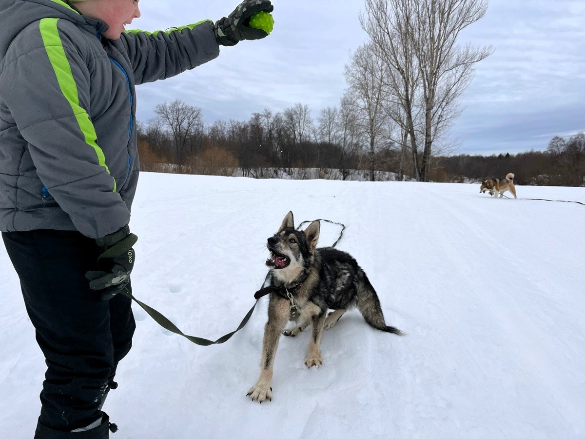 А я - одной правой, - заявляет Казбек.