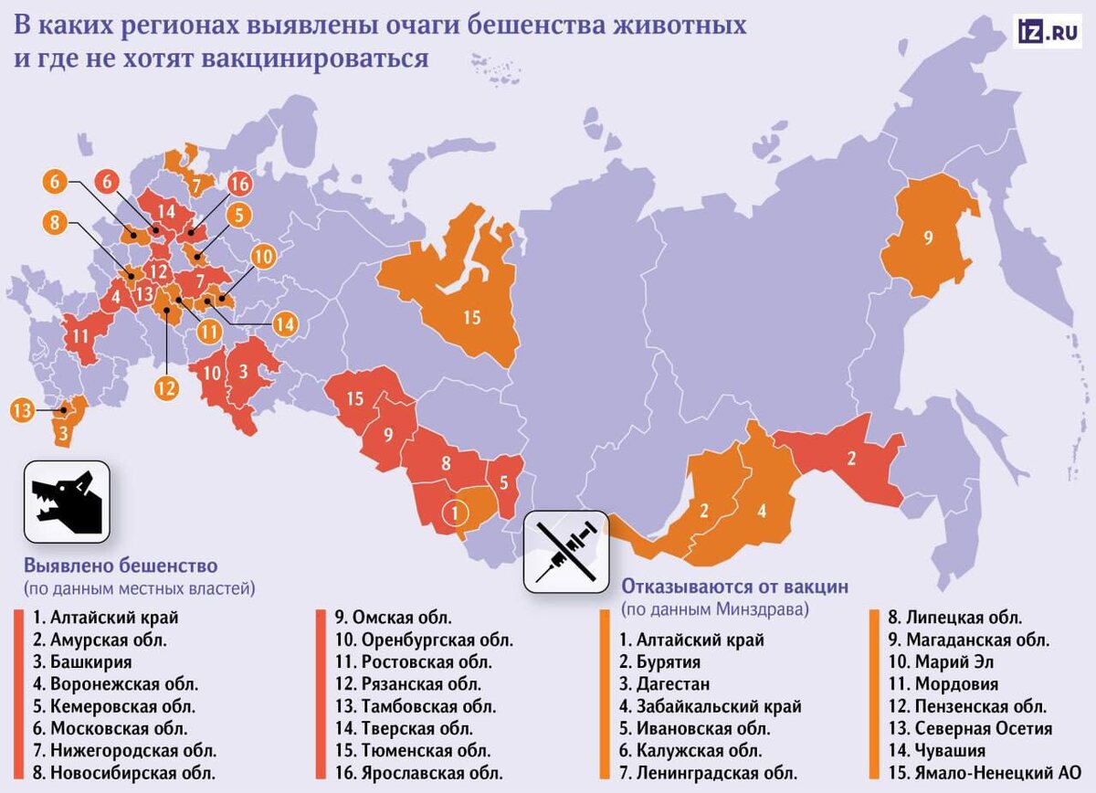 Очаги бешенства животных в РФ