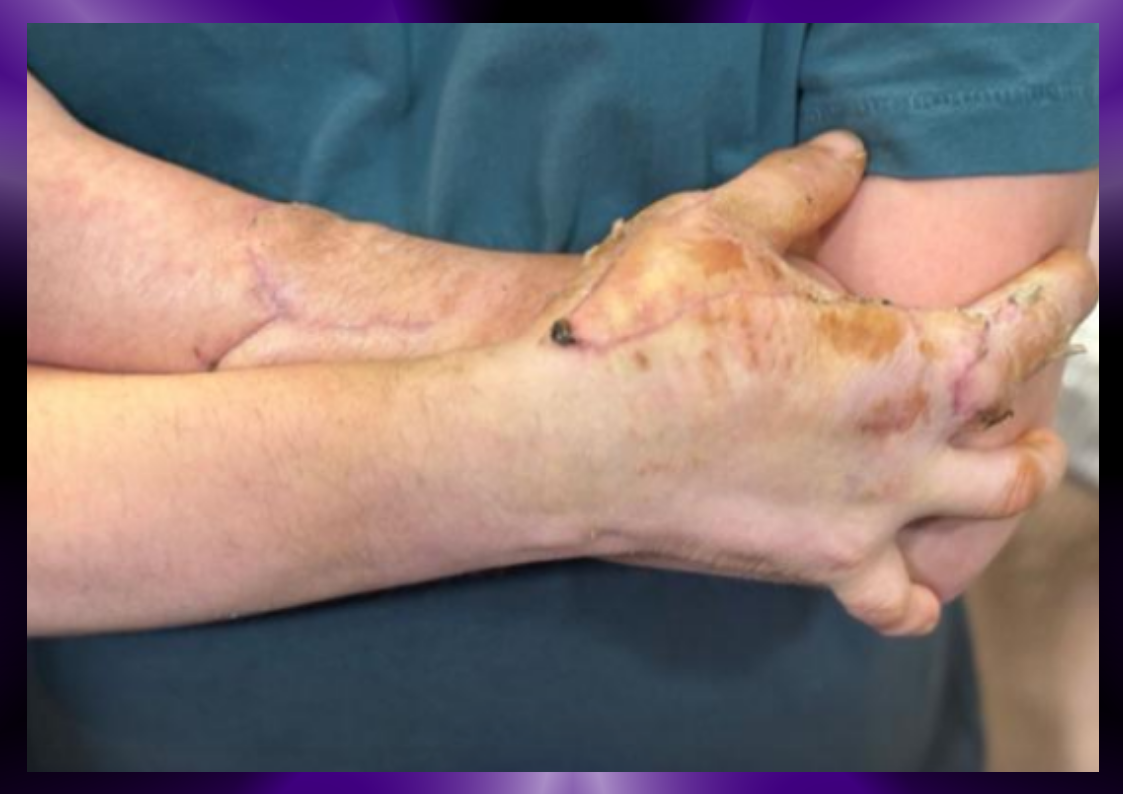 Скриншот с сайта https://tass.ru/obschestvo/26705761