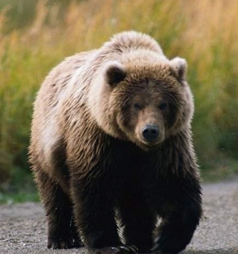 Фото из интернета