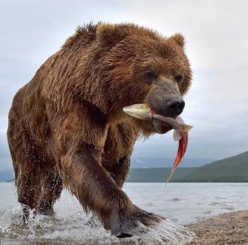 Фото из интернета