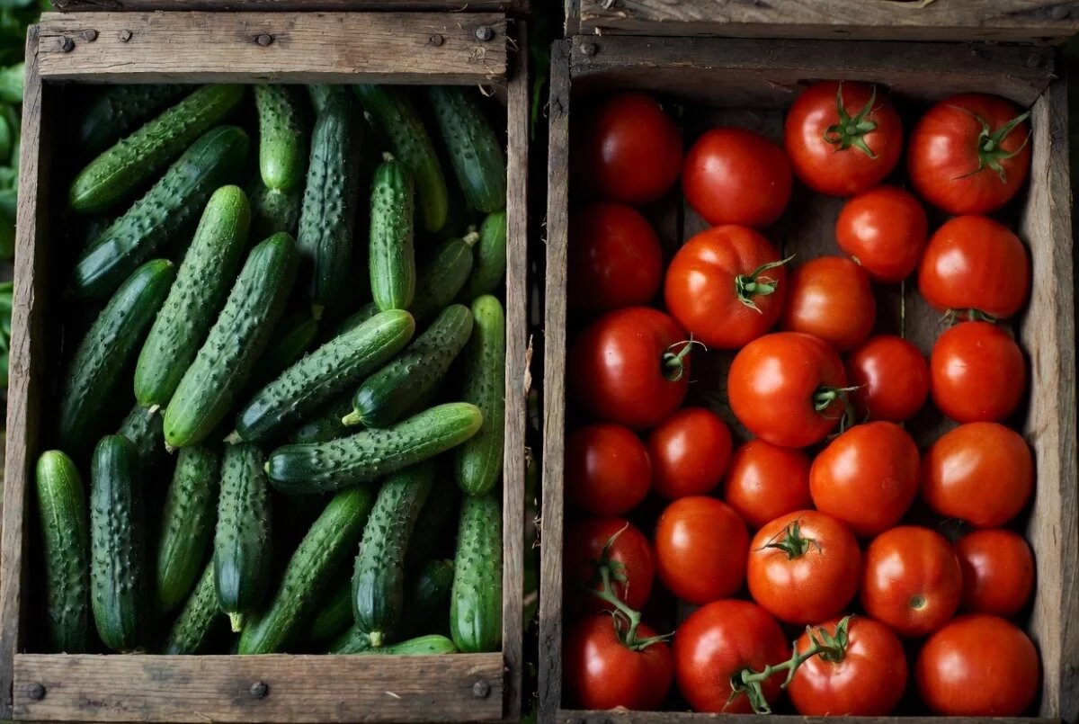    Торговые сети Камчатки ограничили наценки на огурцы и помидоры до 2029 года