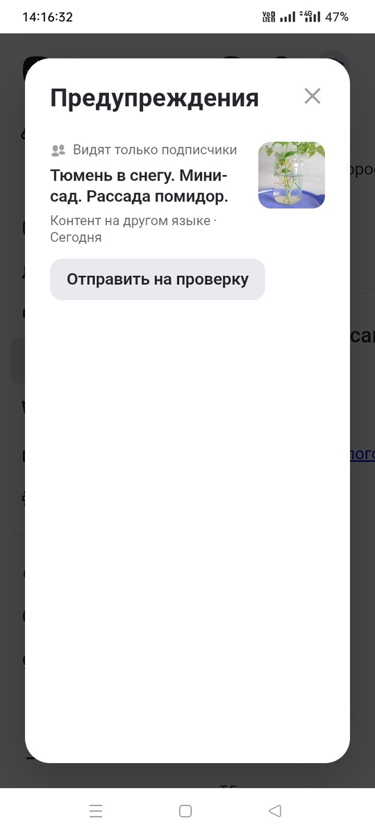 Скриншот автора канала "Волнушка"
