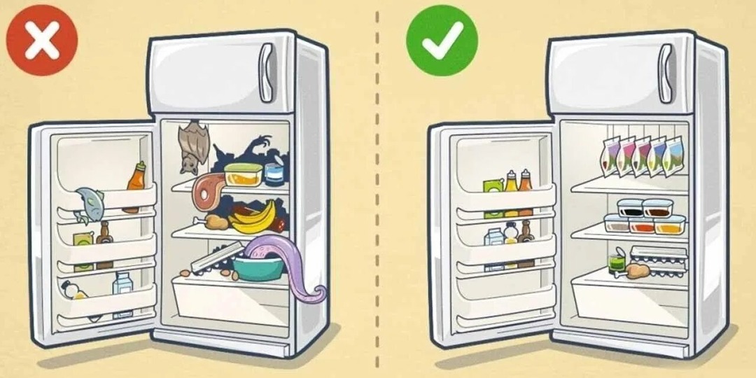 Ежегодное обслуживание холодильника своими руками: полный чек-лист и пошаговая инструкция