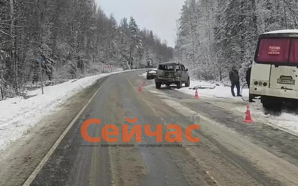    Фото: УГИБДД России по Нижегородской области Редакция nn-now