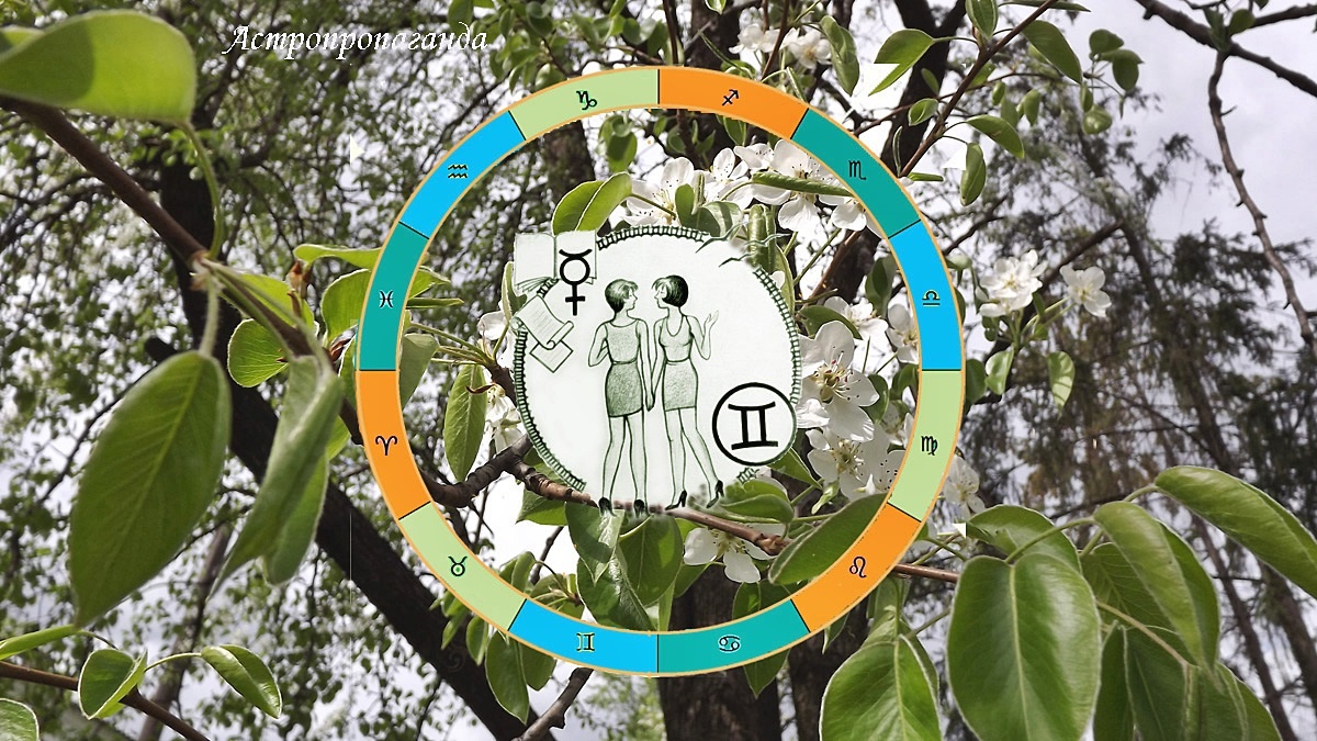 Гороскоп для Близнецов с 30 марта по 3 мая 2026. 