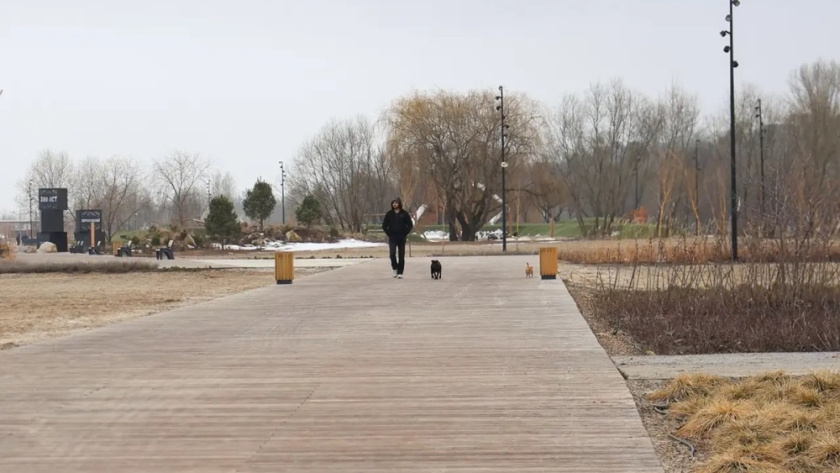    паблик "Петровская набережная"