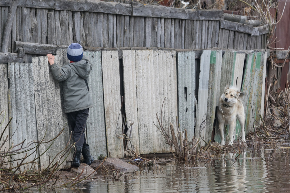    Алексей Белкин/NEWS.ru