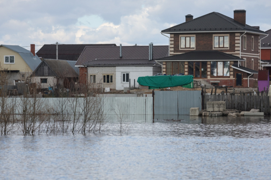    Фото: Алексей Белкин/NEWS.ru