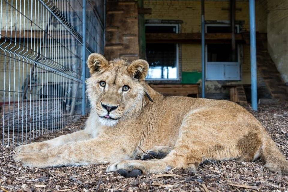    Фото предоставил Алексей Сидоренко