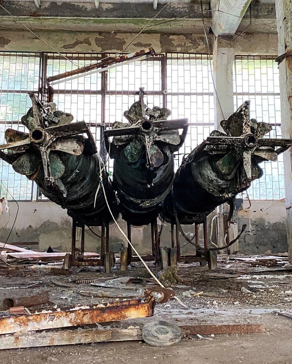    За долгие годы про них так никто и не вспомнил.Фото: @ zavpro_ / Instagram