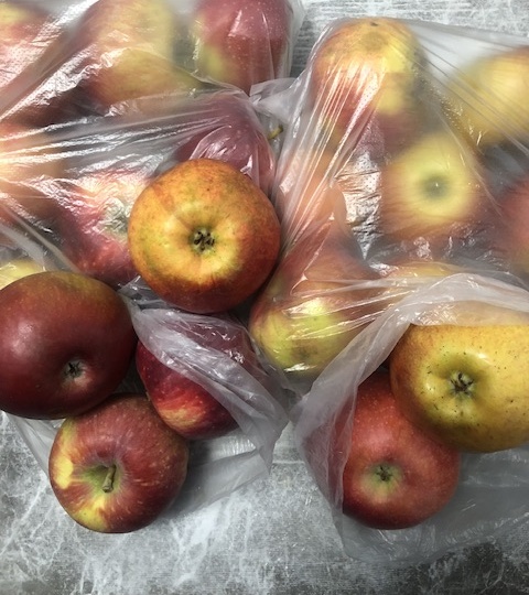 С утра все планы насмарку!