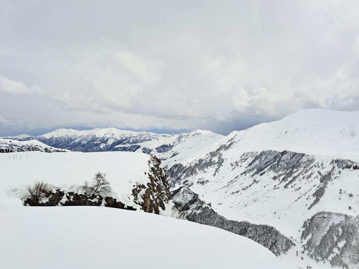 Выжившие отказываются комментировать причины ссоры.  Фото: Фото: ФедералПресс / Вера Романескул