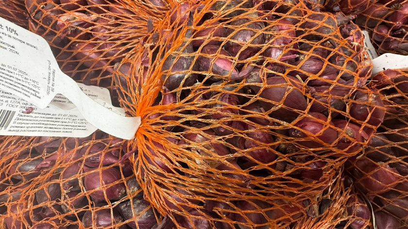    Фото из архива редакции