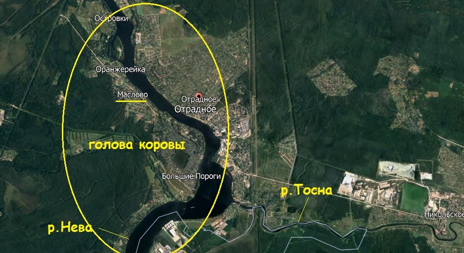 Главным гидронимом реки Тосна может быть более глобальный гидроним Невы в виде "головы коровы", пьющей Тосну. То, что это образ коровы нам указывает название деревни Маслово, что конечно связано с образом коровы.