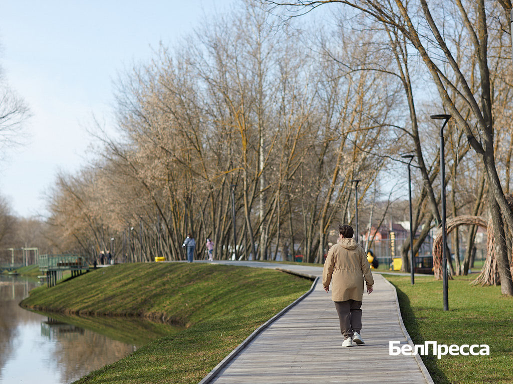     Фото: Елена Журавлёва