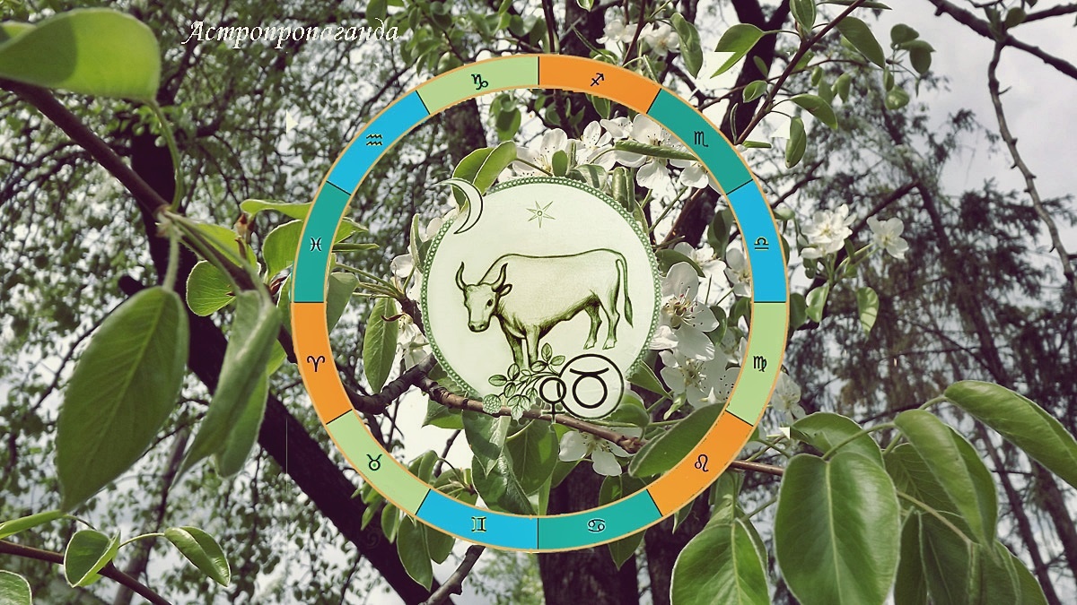Гороскоп для Тельца с 30 марта по 3 мая 2026. 