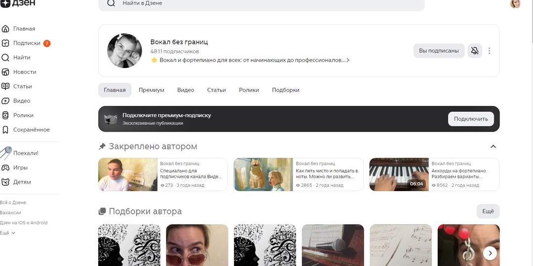 Что такое премиум уровень в Дзен