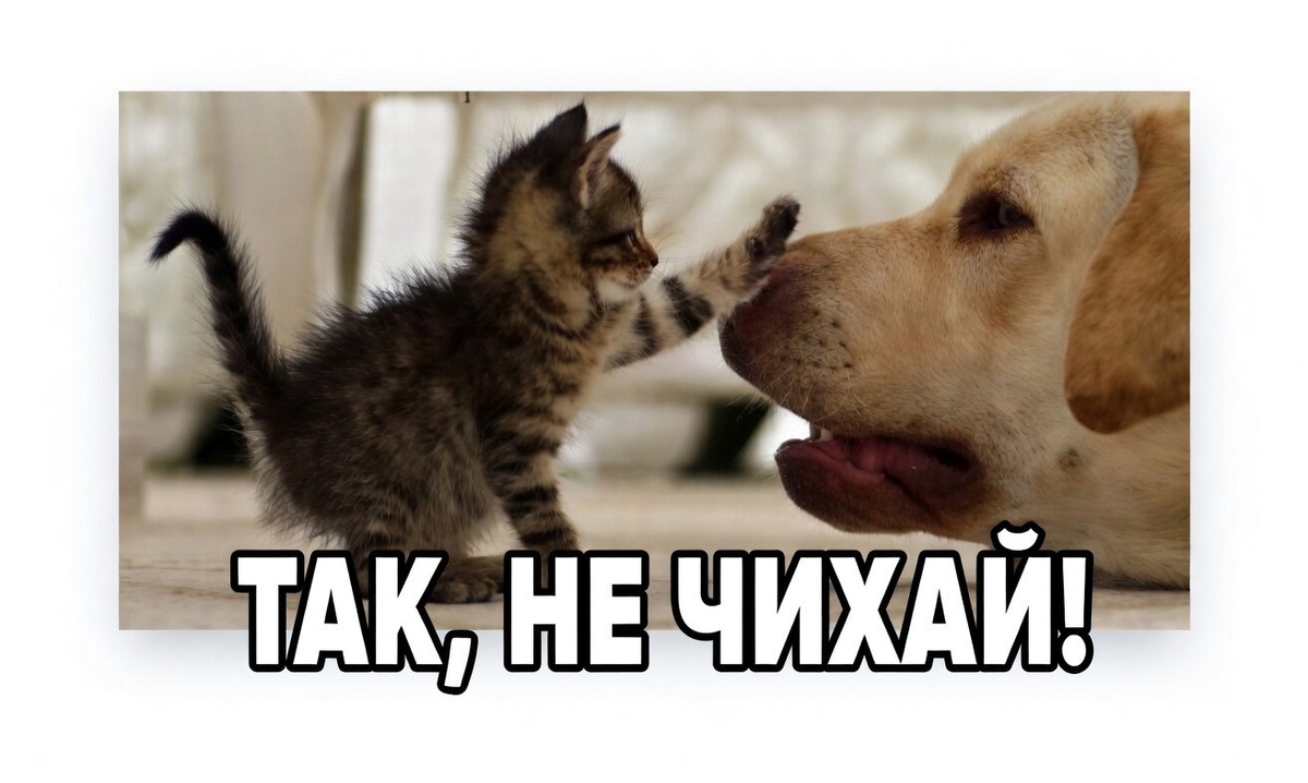 "Будь здоров!"