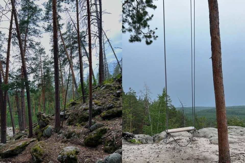 Фото: Алиса Вьюшкина