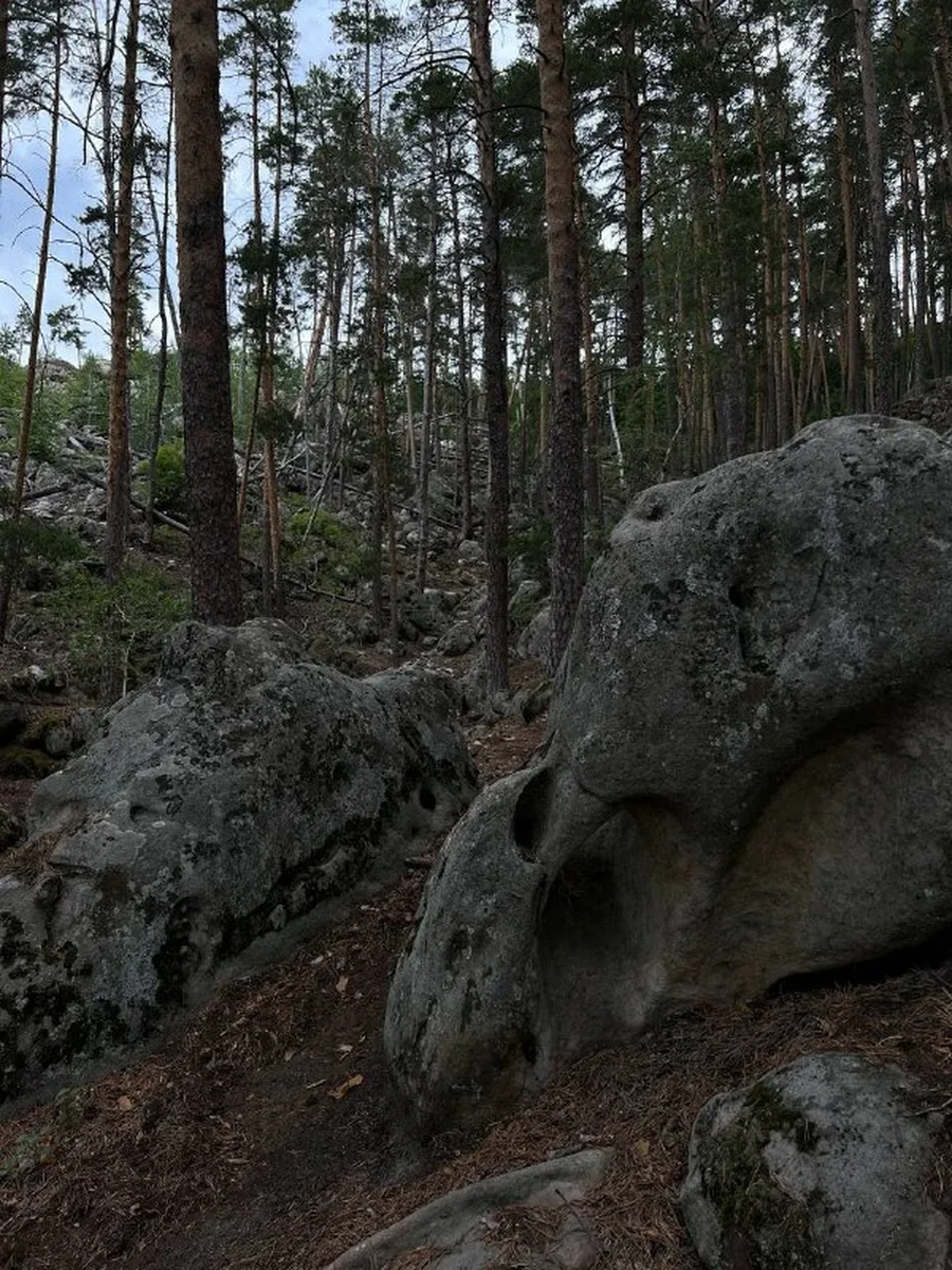 Фото: Алиса Вьюшкина