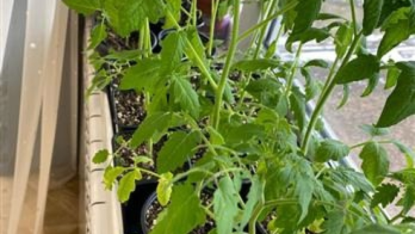    фото smilekaluga.ru