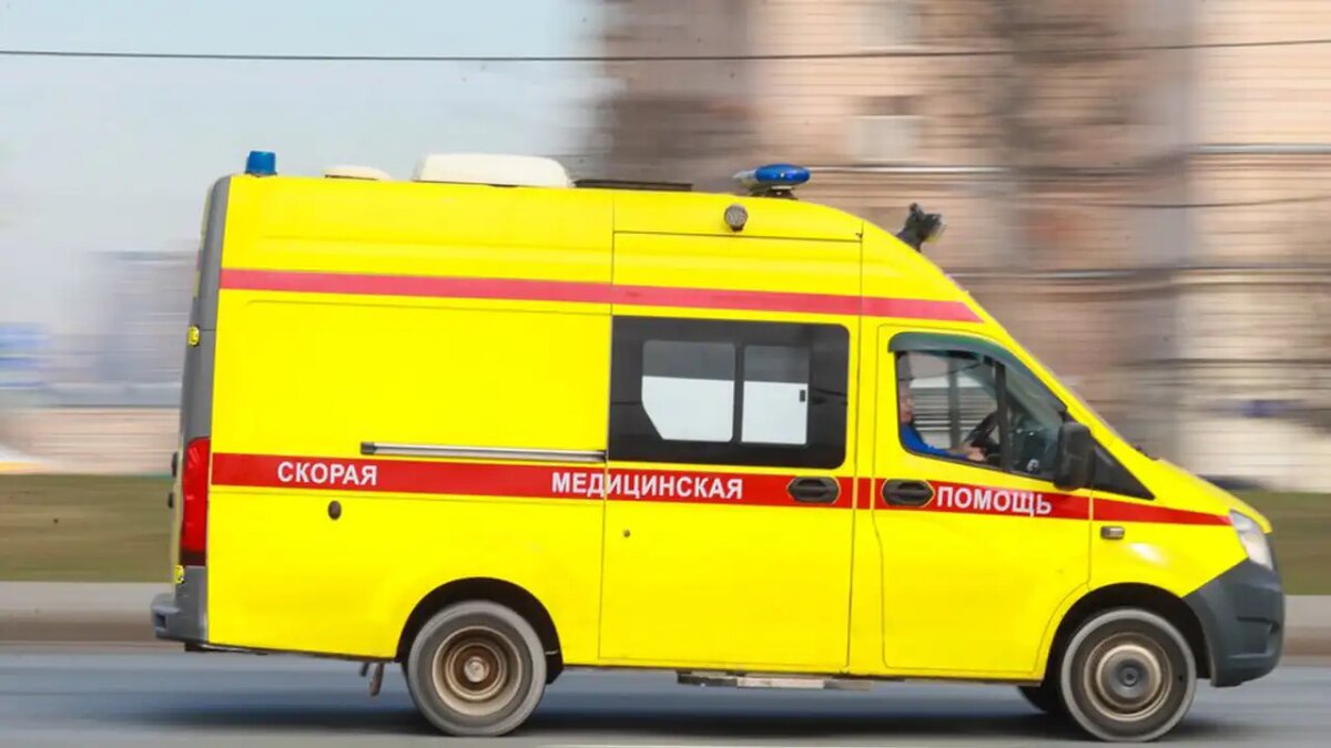     © АГН "Москва"