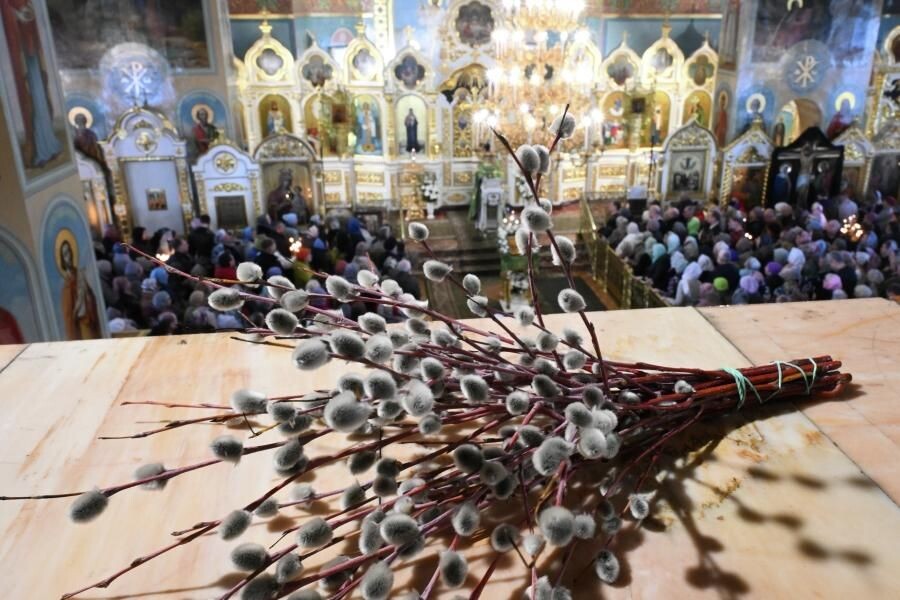     Александр Кряжев / РИА Новости