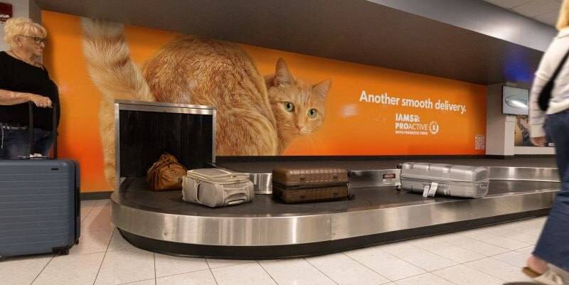 Бренд корма lams решил поговорить о пищеварении питомцев максимально наглядно