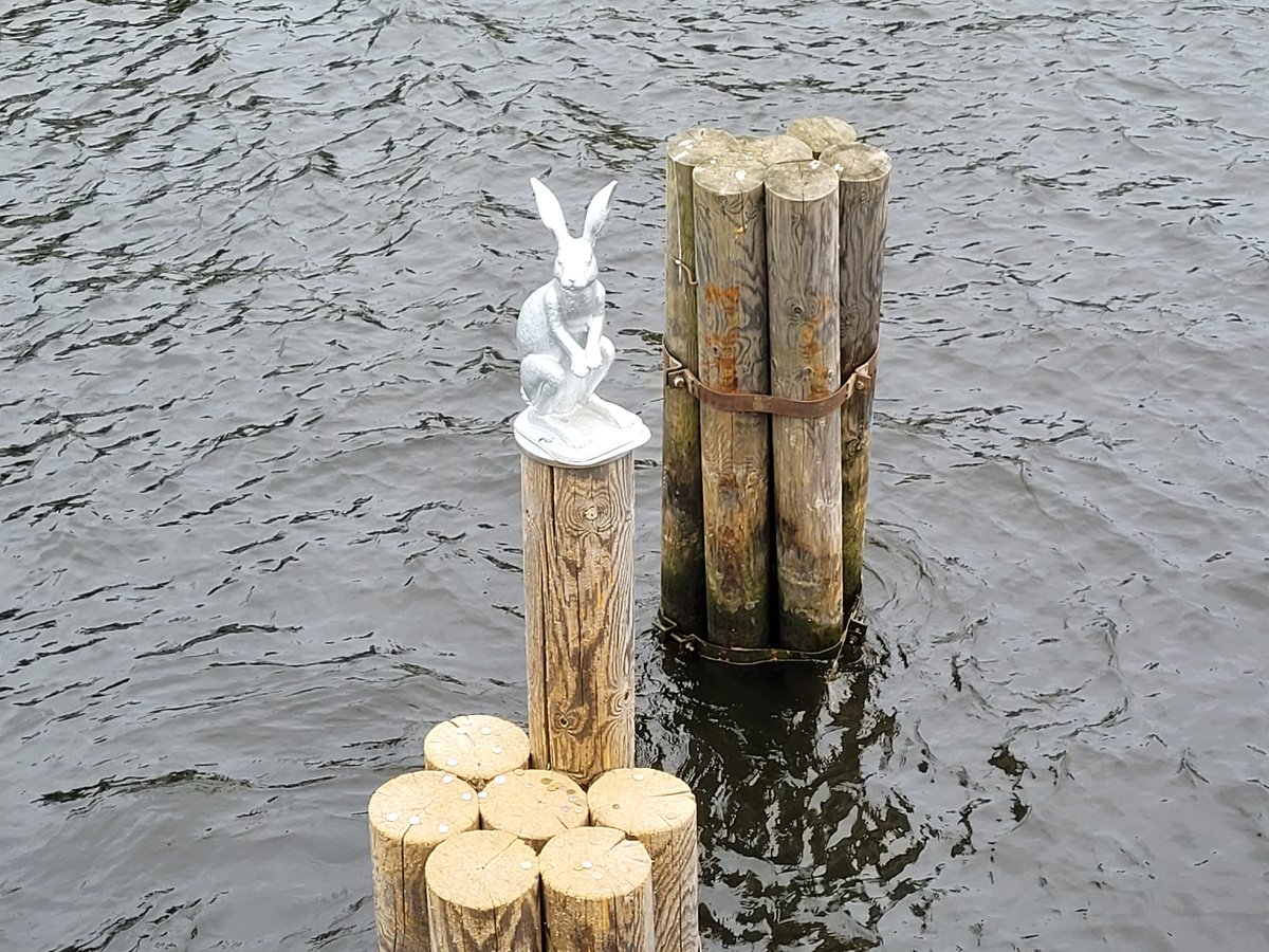 Вот этот заяц. Здесь и далее — фото из личного архива