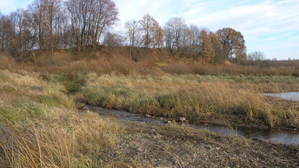    © Фото из собрания И.Гусева