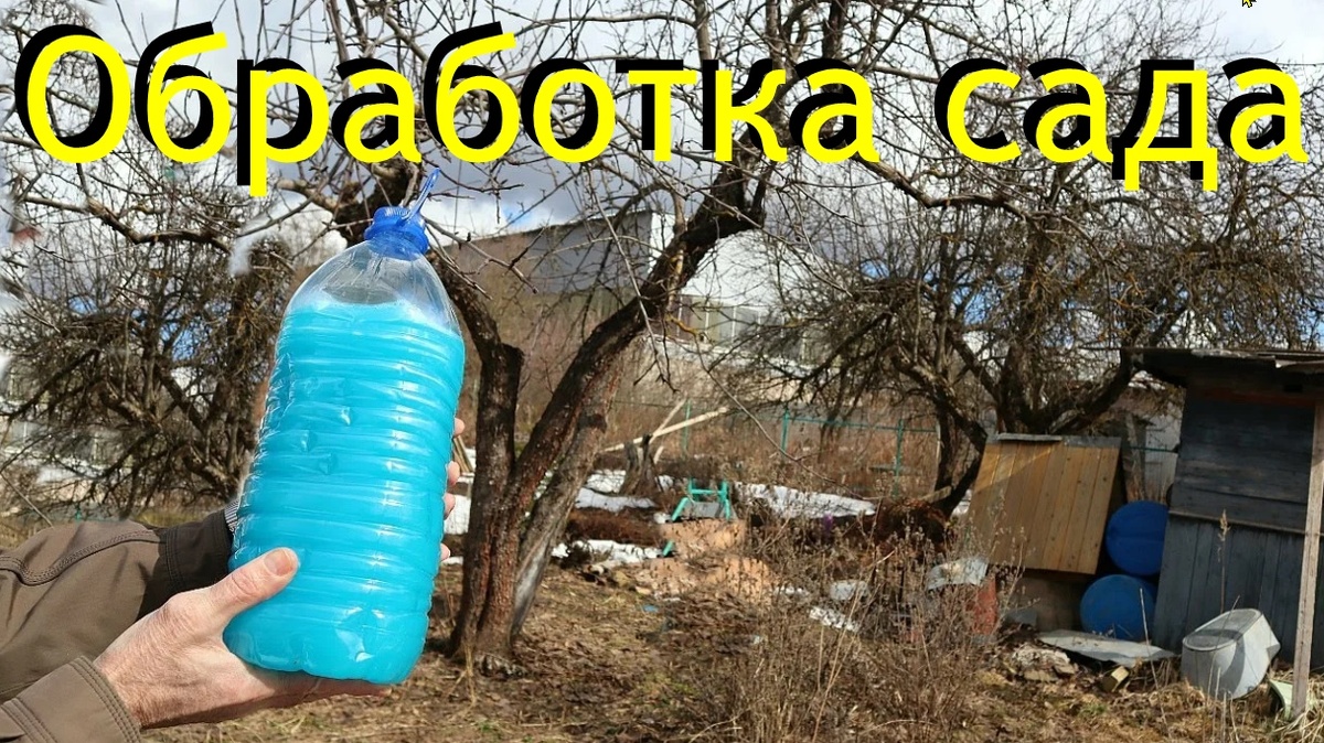 Известковый раствор Бордовская смесь ----медный купарос + известь 