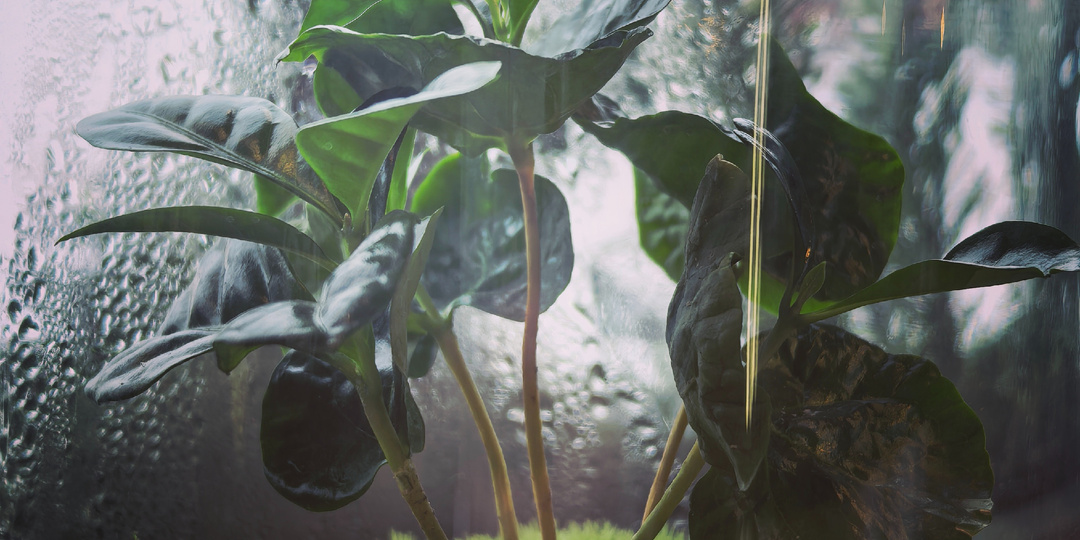 Я старшая, брату 25 и мы думали, что у нас идеальная семья. Пока я не нашла...