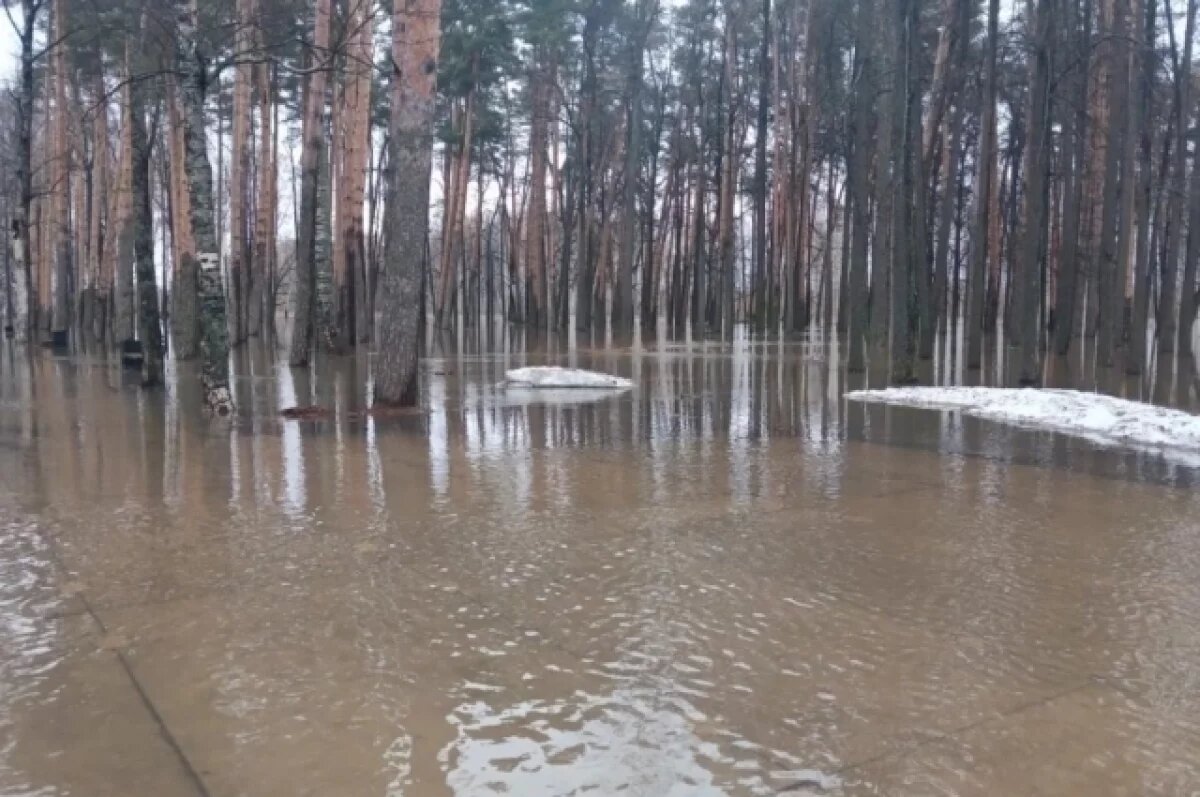    Река Большая Кокшага в Санчурске 9 апреля поднялась до отметки 412 сантиметров.