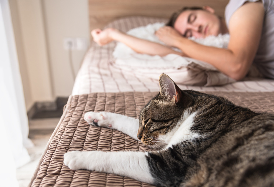    Shutterstock/FOTODOM