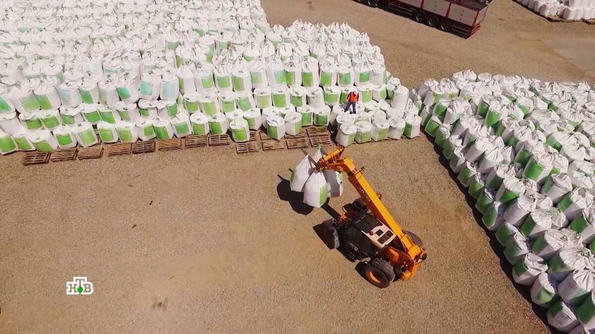    «Ужасная перспектива»: война на Ближнем Востоке может привести к мировому голоду