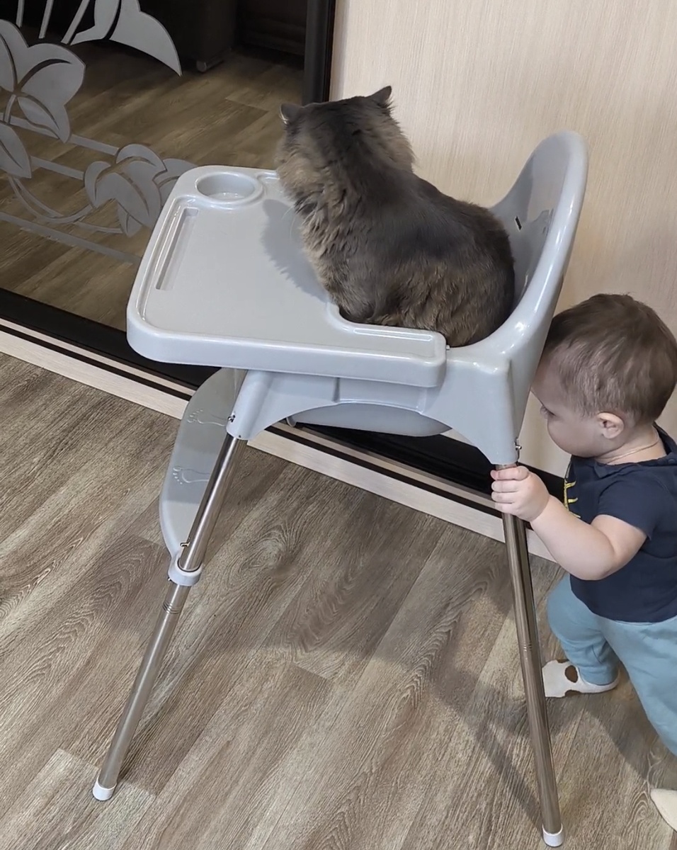 Катает с ветерком своего друга...) фотографии в статье авторские. 