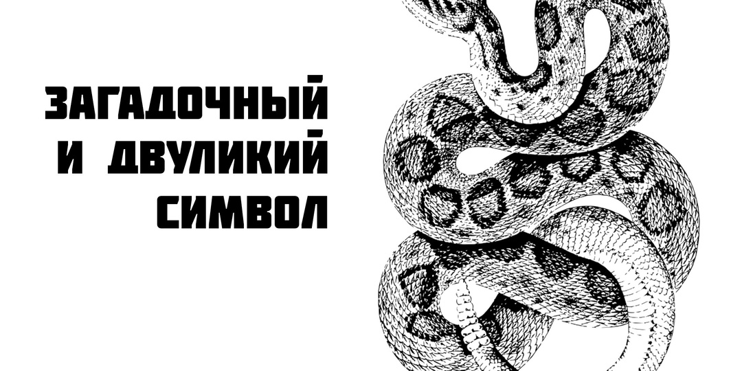 Для чего снятся змеи?